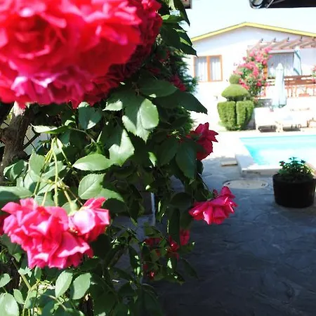 Villas Denitsa Πάρκο διακοπών Άγιος Κωνσταντίνος και Ελένη